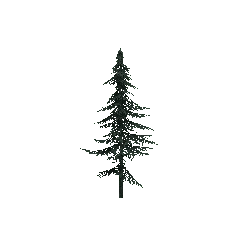 ConiferTreeSmall03LOD0 (TVE Backup)